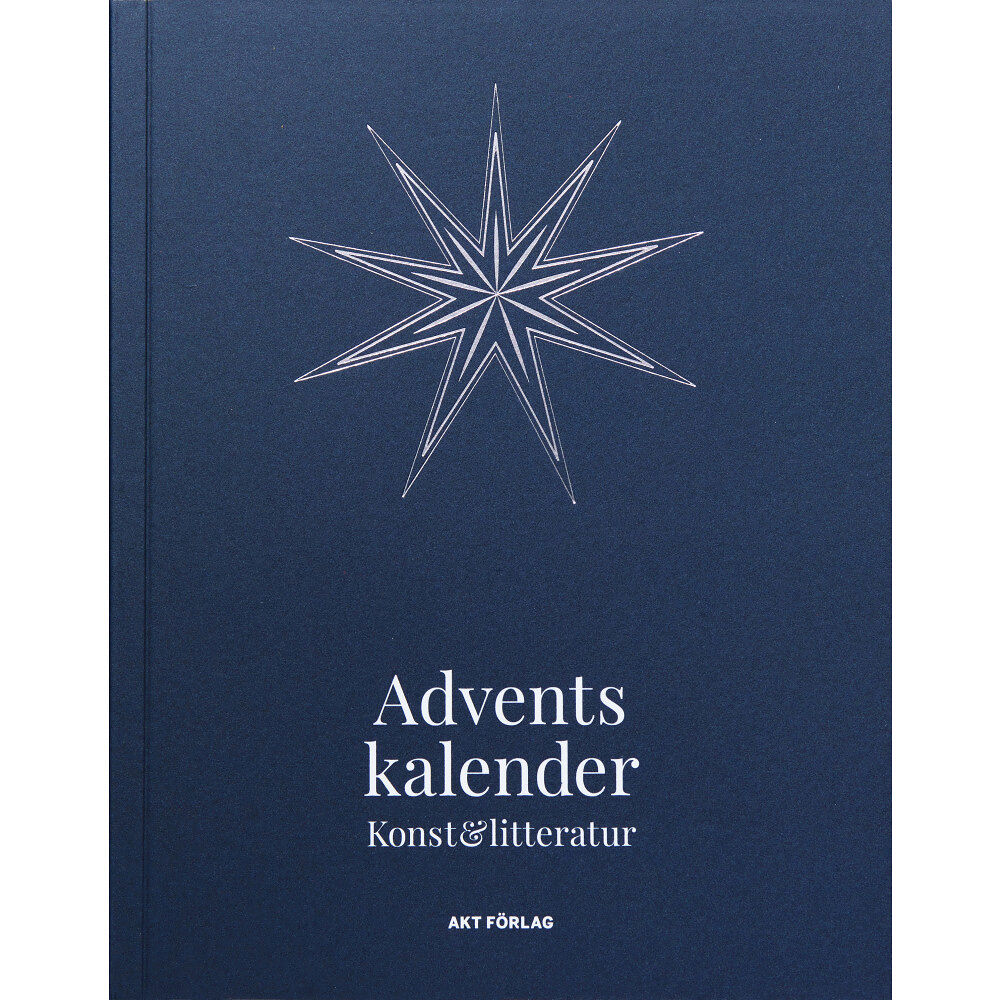 Mamma Andersson Adventskalender Konst & litteratur (bok, flexband)