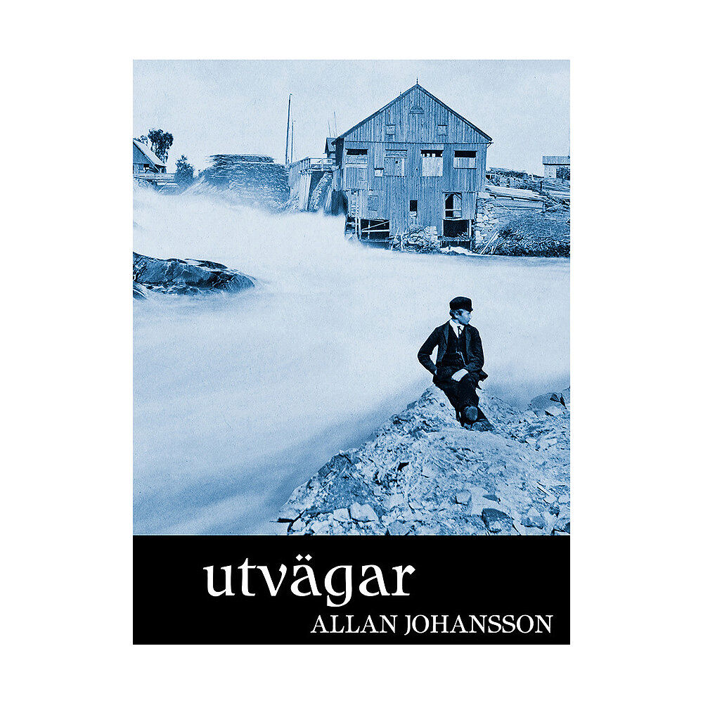 Allan Johansson Utvägar (inbunden)