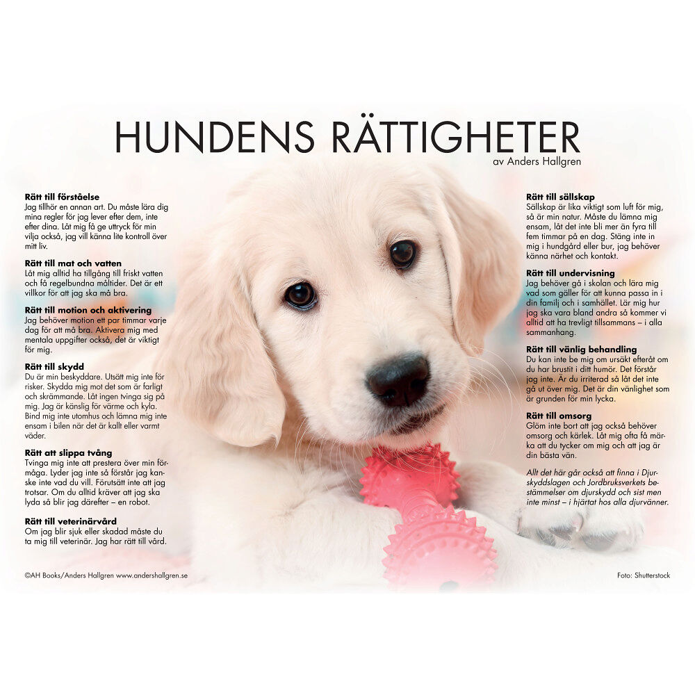 AH Books Hundens rättigheter - poster