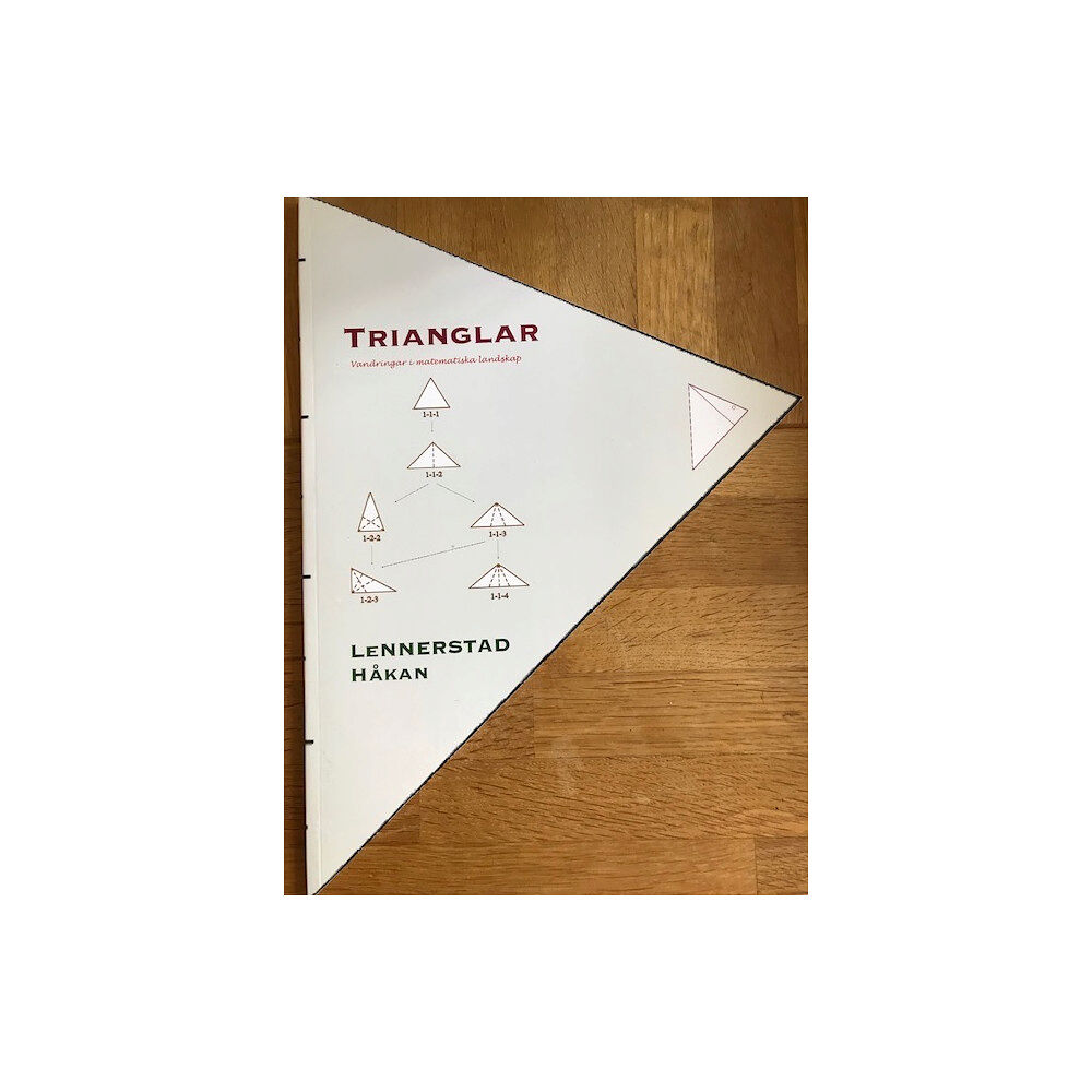 Håkan Lennerstad Trianglar : vandringar i matematiska landskap (bok, kartonnage)