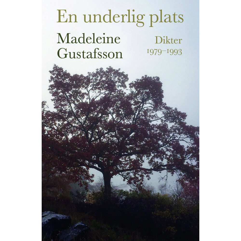 Madeleine Gustafsson En underlig plats : dikter 1979-1993 (bok, danskt band)