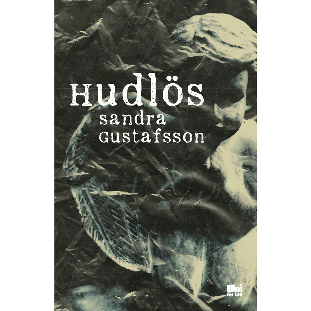 Sandra Gustafsson Hudlös (pocket)