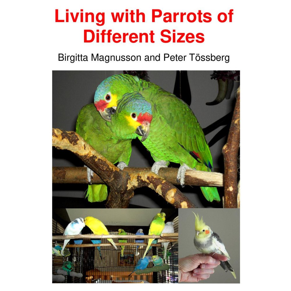 Peter Tössberg Living with Parrots of Different Sizes (inbunden, eng)