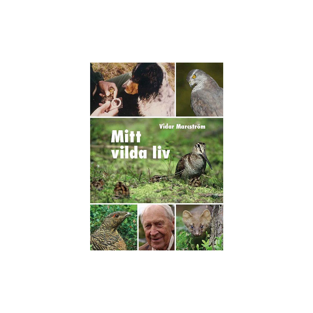 Vidar Marcström Mitt vilda liv (inbunden)