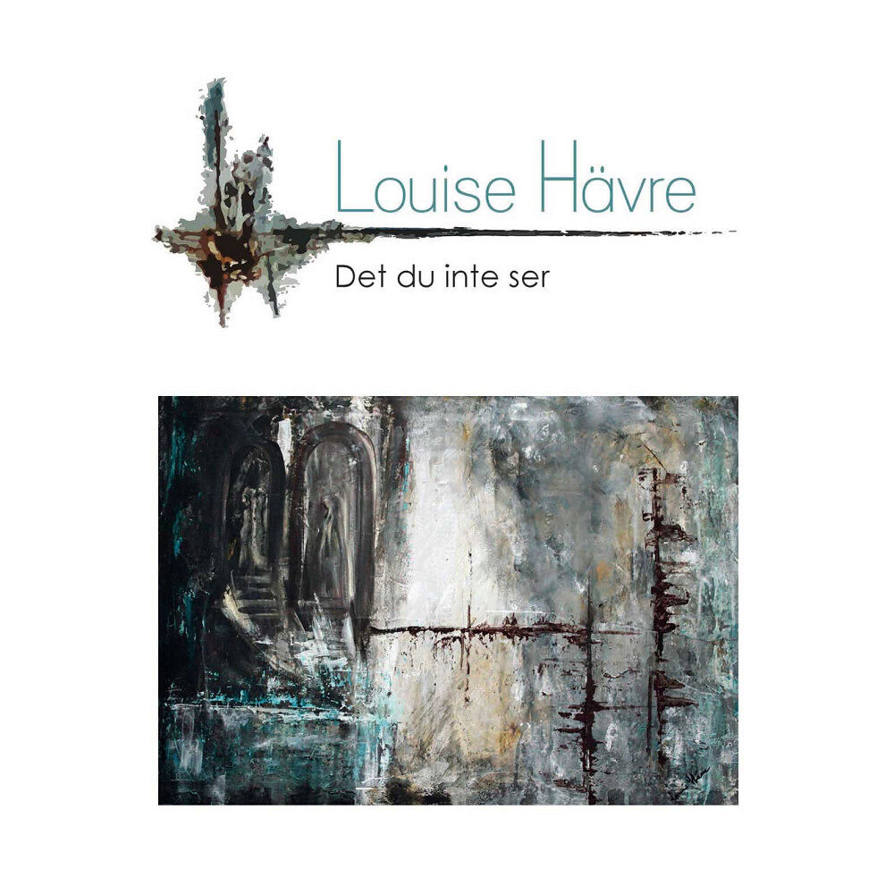 Louise Hävre Det du inte ser (inbunden)