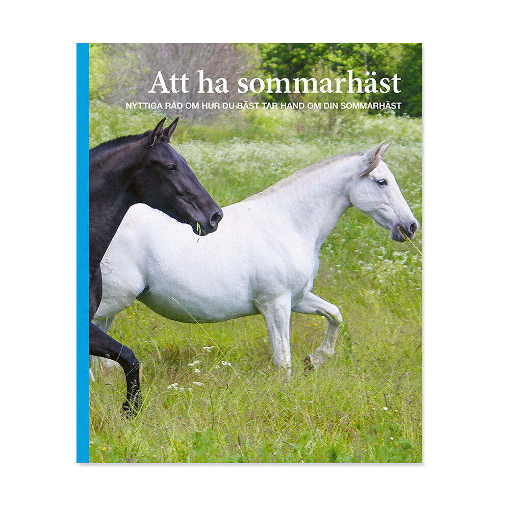 Ann Svärding Att ha sommarhäst (häftad)