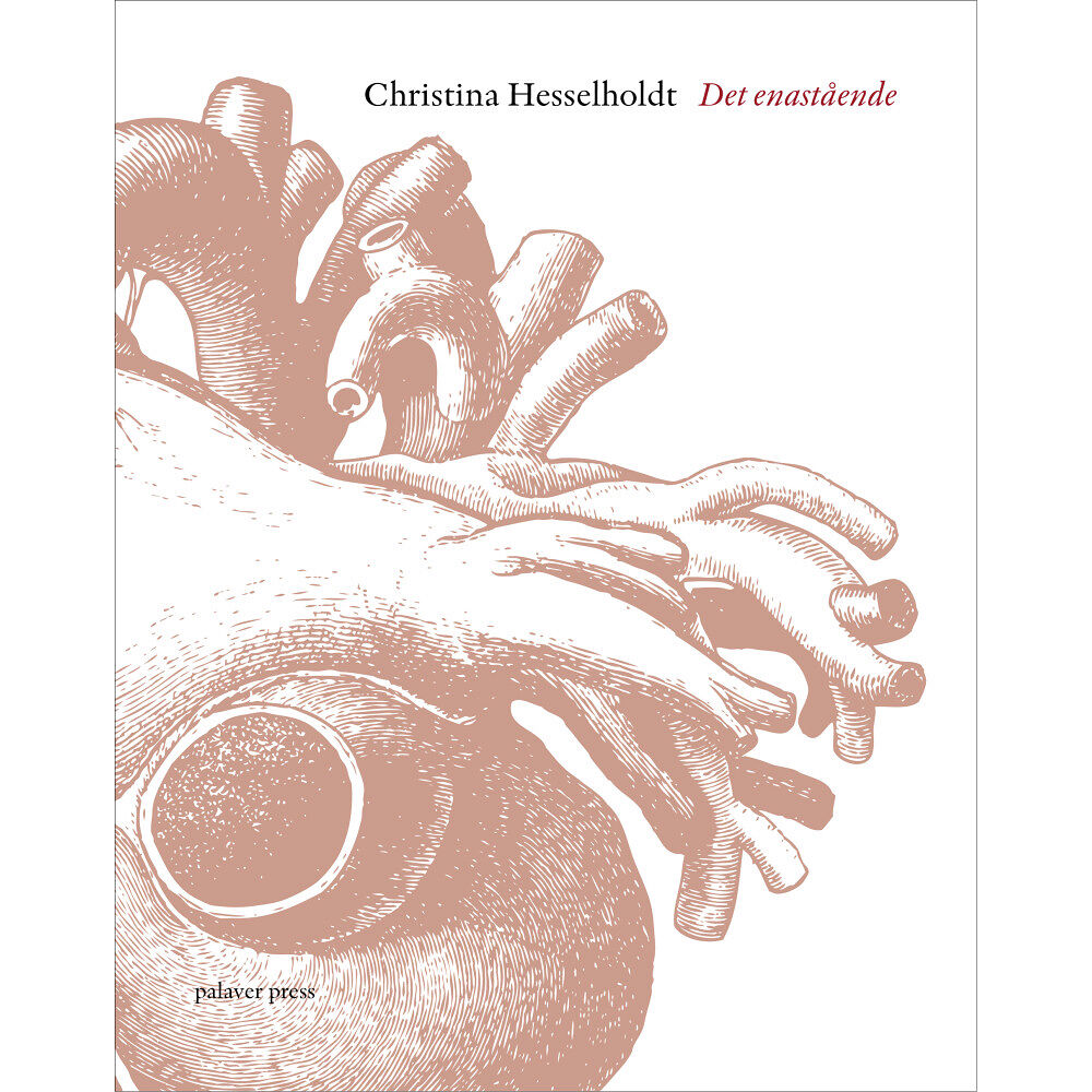 Christina Hesselholdt Det enastående (bok, danskt band)