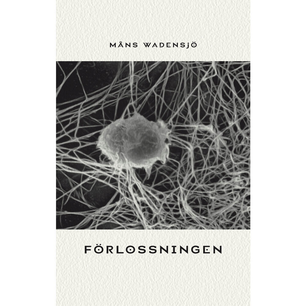 Måns Wadensjö Förlossningen (häftad)