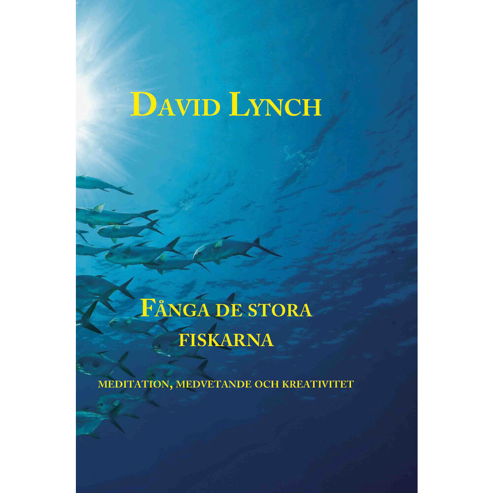 David Lynch Fånga de stora fiskarna (bok, kartonnage)