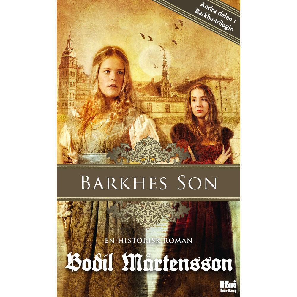 Bodil Mårtensson Barkhes son : en historisk spänningsroman (pocket)