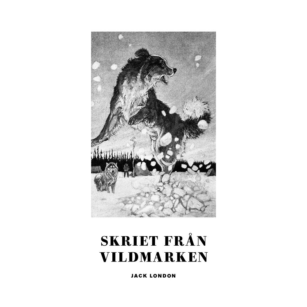 Jack London Skriet från vildmarken (pocket)