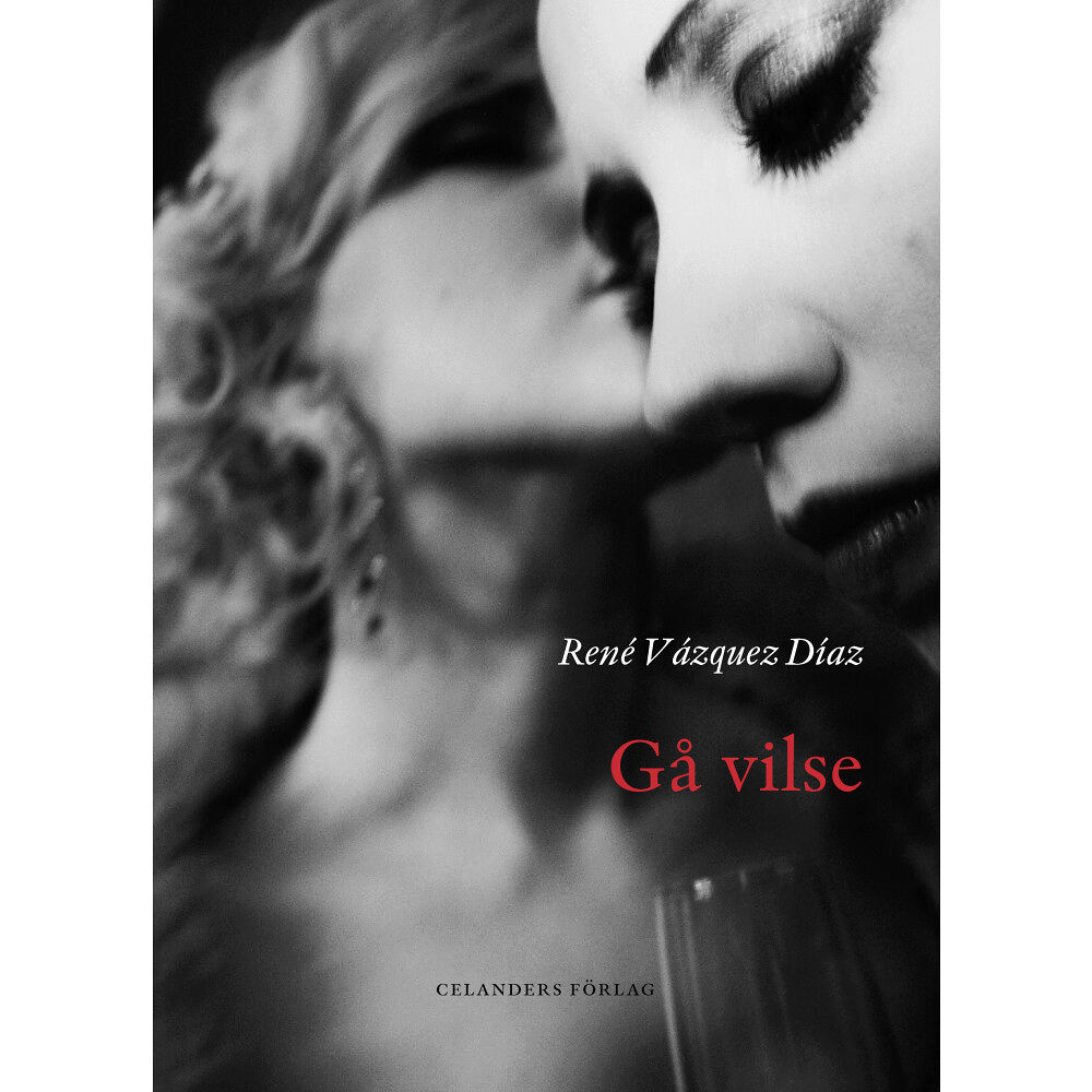 René Vázquez Díaz Gå vilse (bok, danskt band)