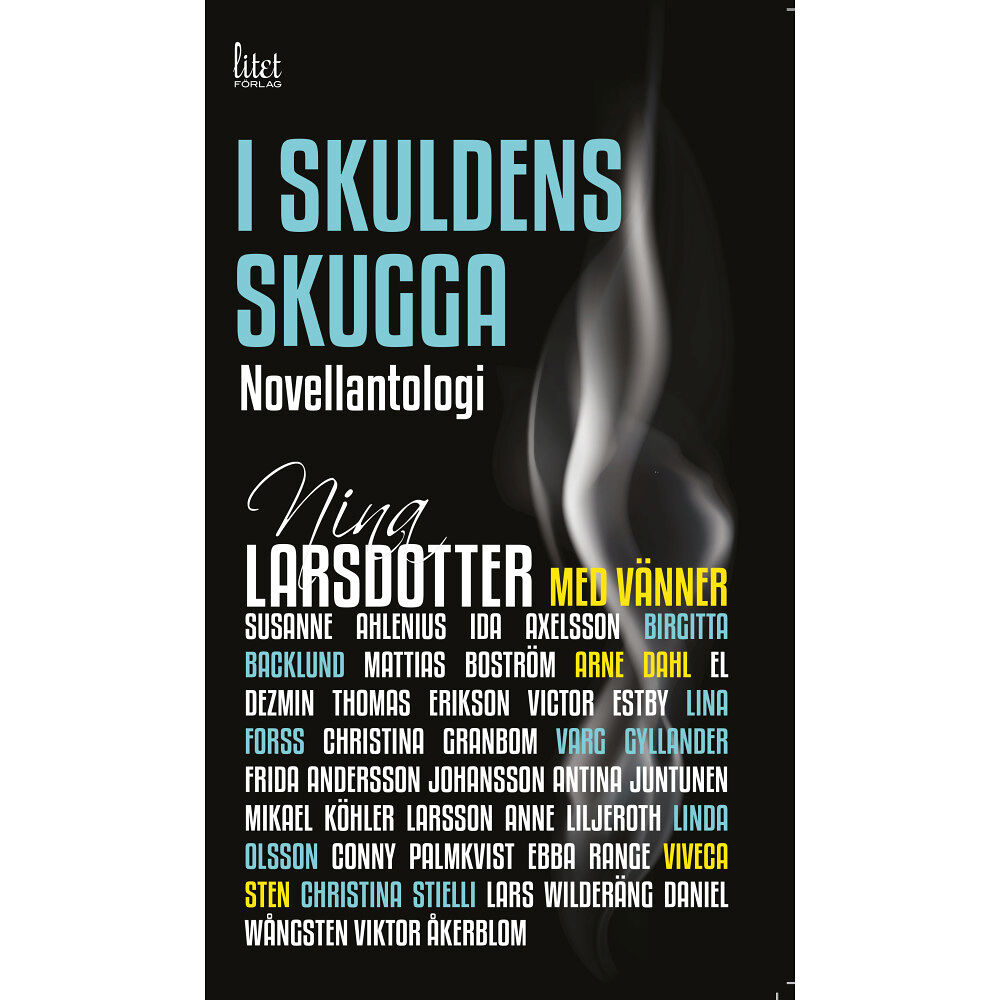 Nina Larsdotter I skuldens skugga (häftad)