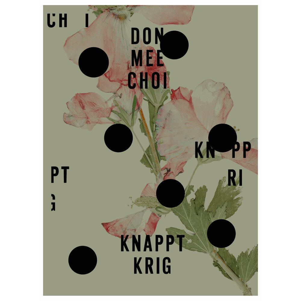 Don Mee Choi Knappt krig (bok, danskt band)