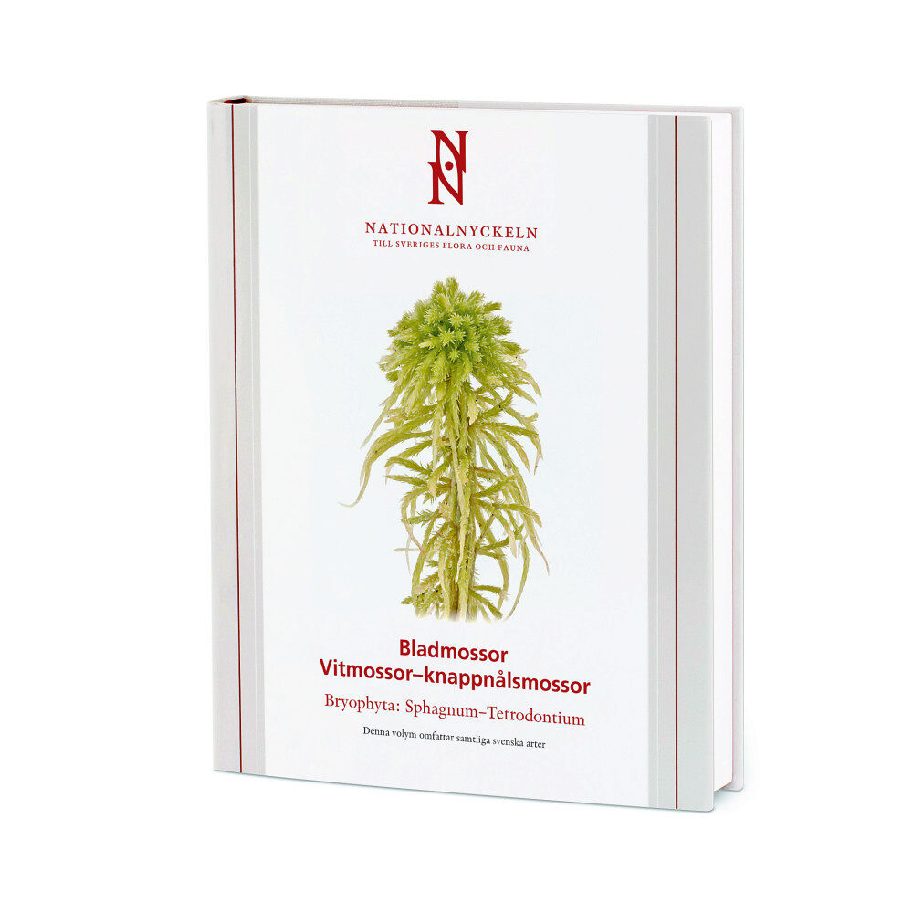 Niklas Lönnell Bladmossor: Vitmossor – knappnålsmossor: Bryophyta: Sphagnum–Tetrodontium (inbunden)