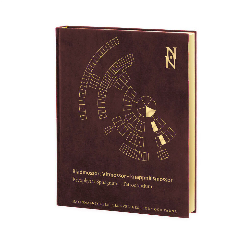 Niklas Lönnell Bladmossor: Vitmossor – knappnålsmossor: Bryophyta: Sphagnum–Tetrodontium (bok, halvfranskt)