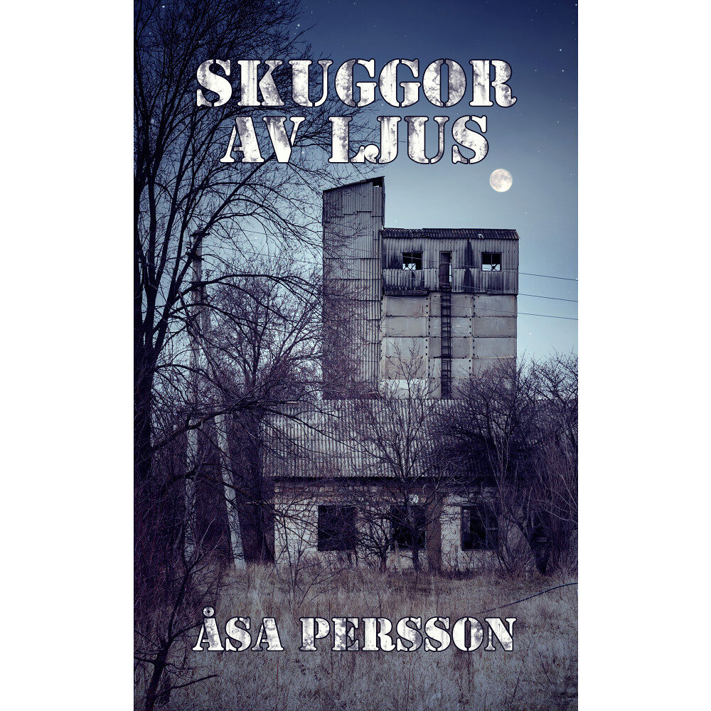 Åsa Persson Skuggor av ljus (bok, danskt band)