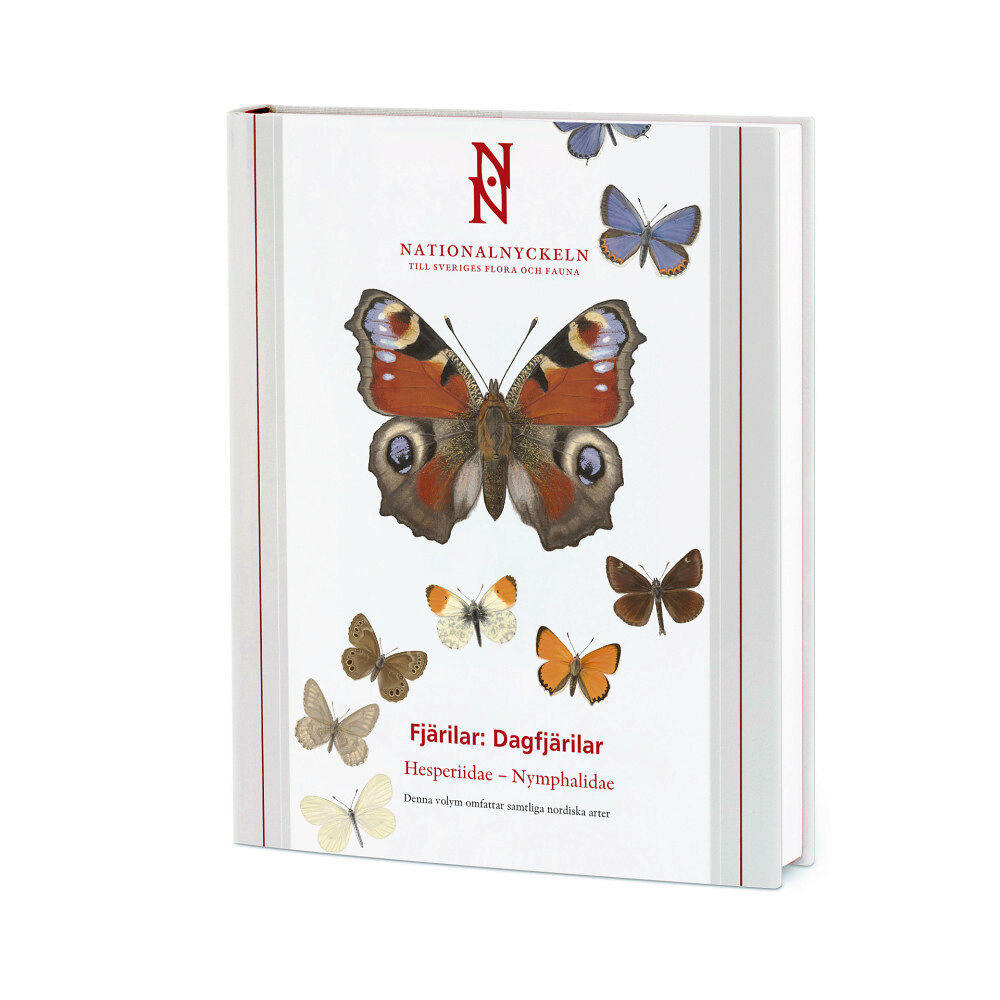 Claes U. Eliasson Fjärilar : dagfjärilar. Hesperiidae : nymphalidae (inbunden)