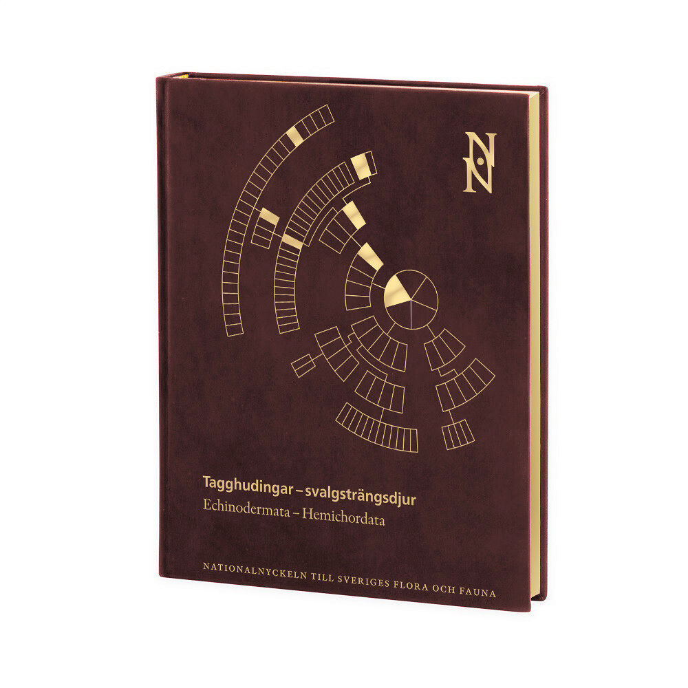 Hans G. Hansson Tagghudingar - svalgsträngsdjur. Echinodermata - hemichordata (bok, halvfranskt)