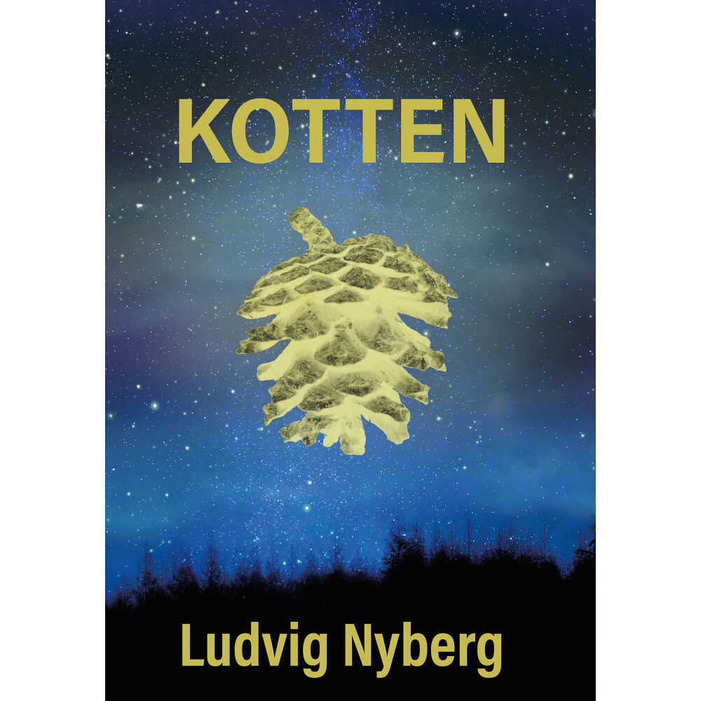 Ludvig Nyberg Kotten (bok, danskt band)