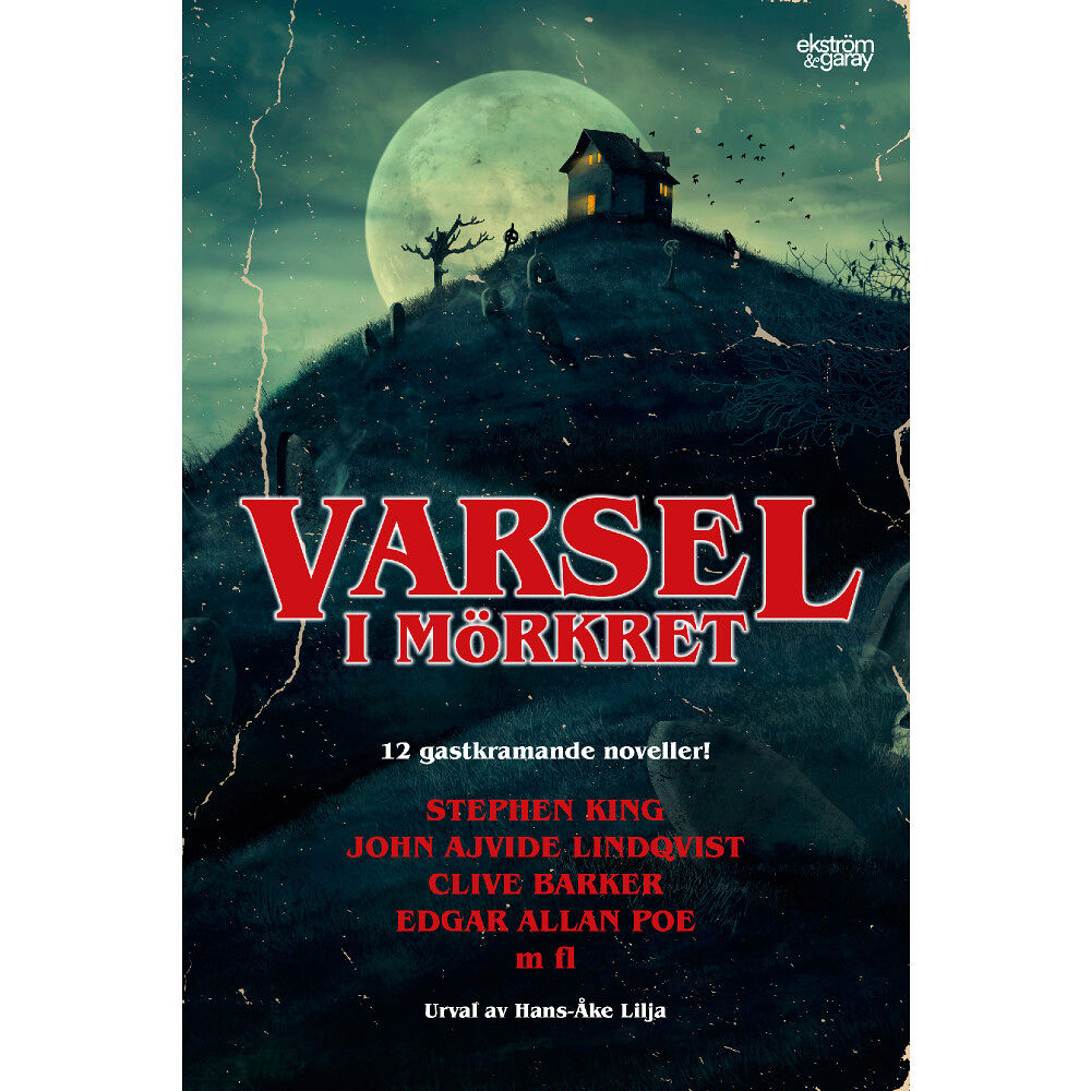 Stephen King Varsel i mörkret (häftad)