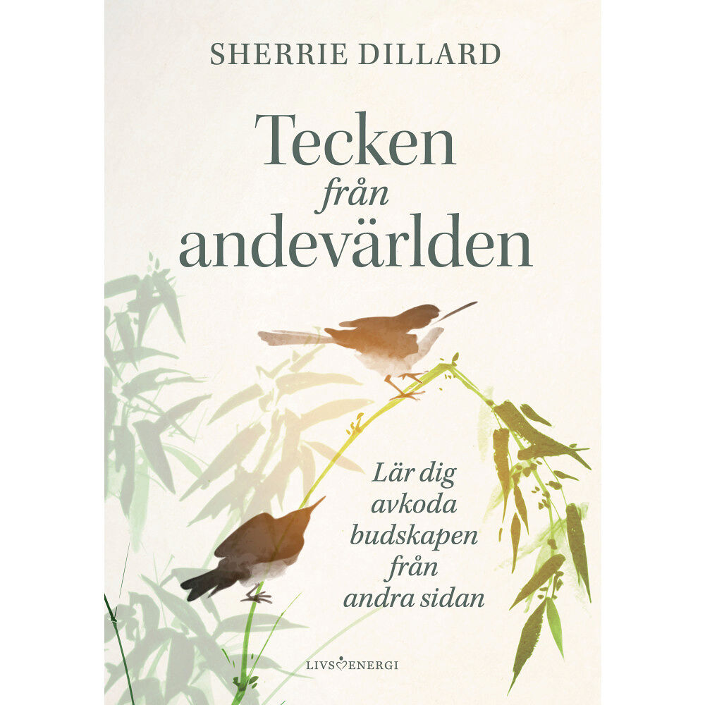 Sherrie Dillard Tecken från andevärlden : lär dig avkoda budskapen från andevärlden (inbunden)