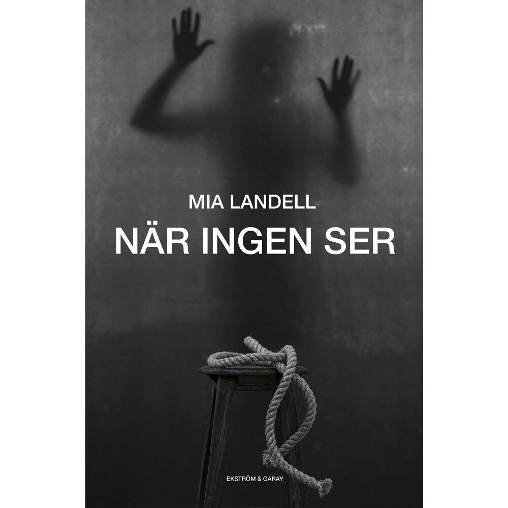 Mia Landell När ingen ser (inbunden)