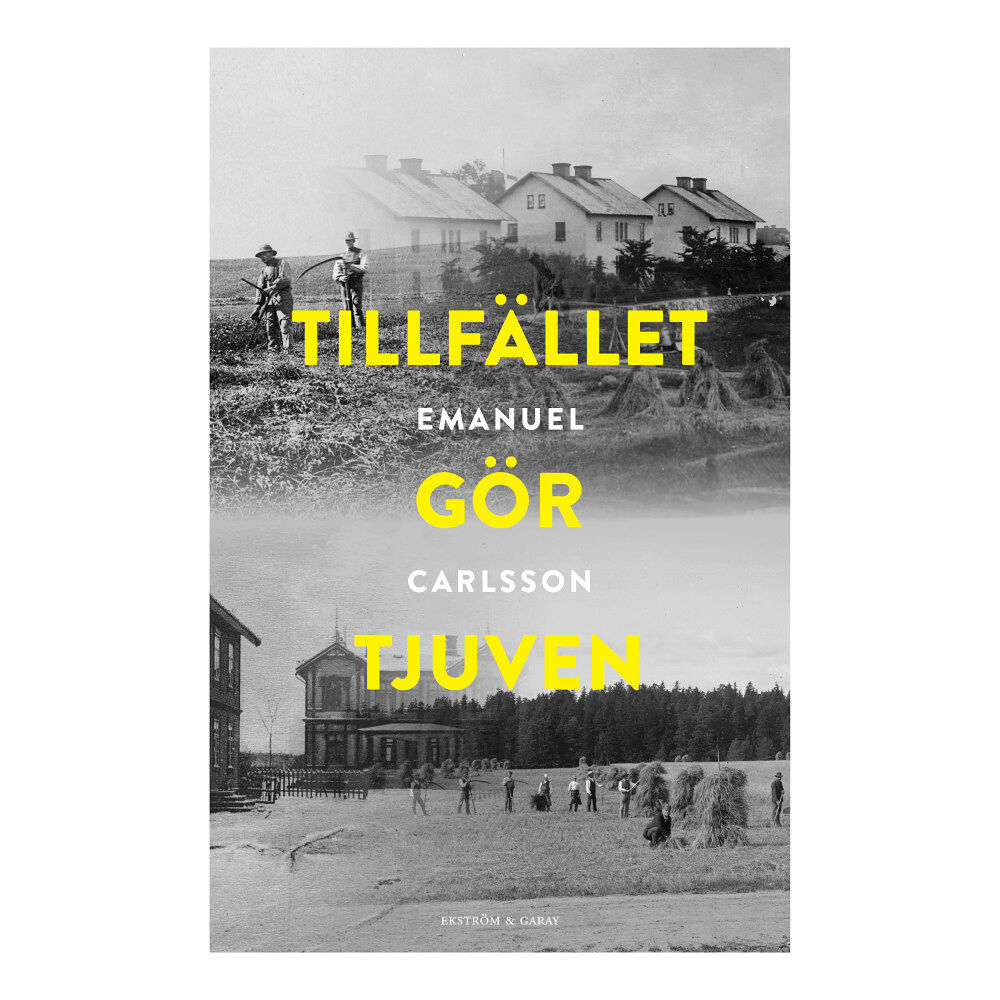 Emanuel Carlsson Tillfället gör tjuven (inbunden)