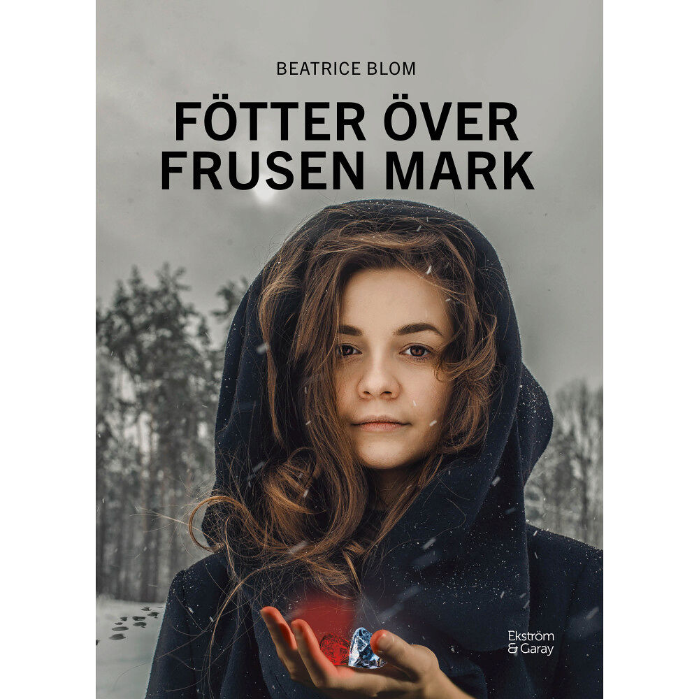 Beatrice Blom Fötter över frusen mark (bok, danskt band)