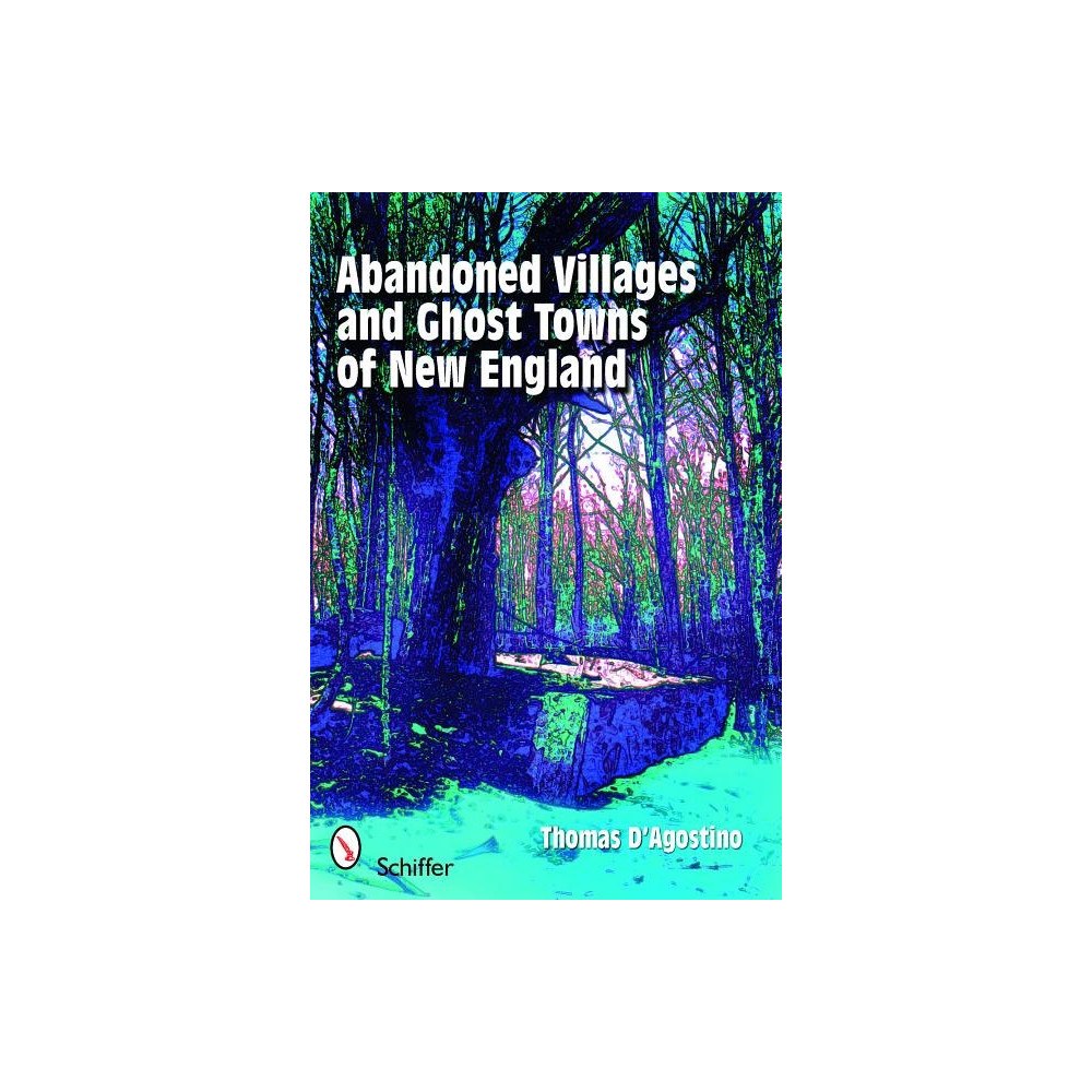 Schiffer Publishing Ltd Abandoned Villages And Ghost Towns Of New England (häftad, eng)