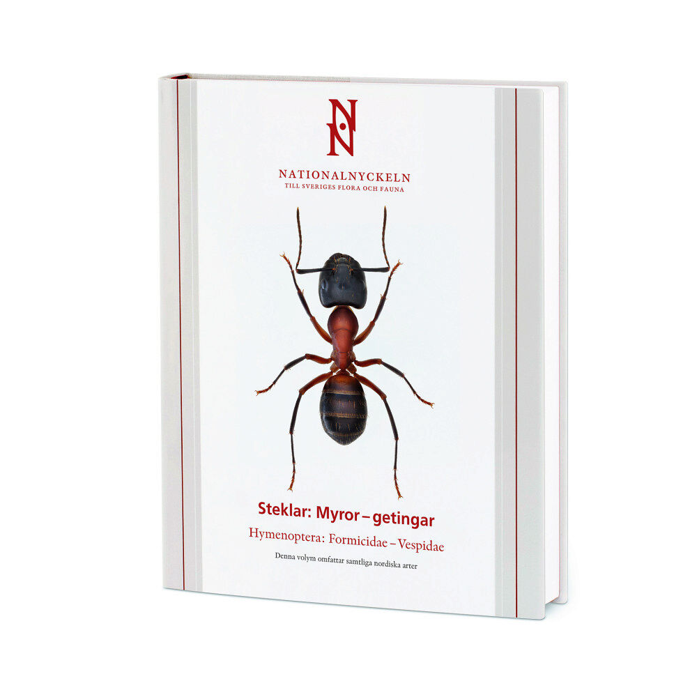 Per Douwes Steklar : myror - getingar. Hymenoptera : formicidae - vespidae (inbunden)