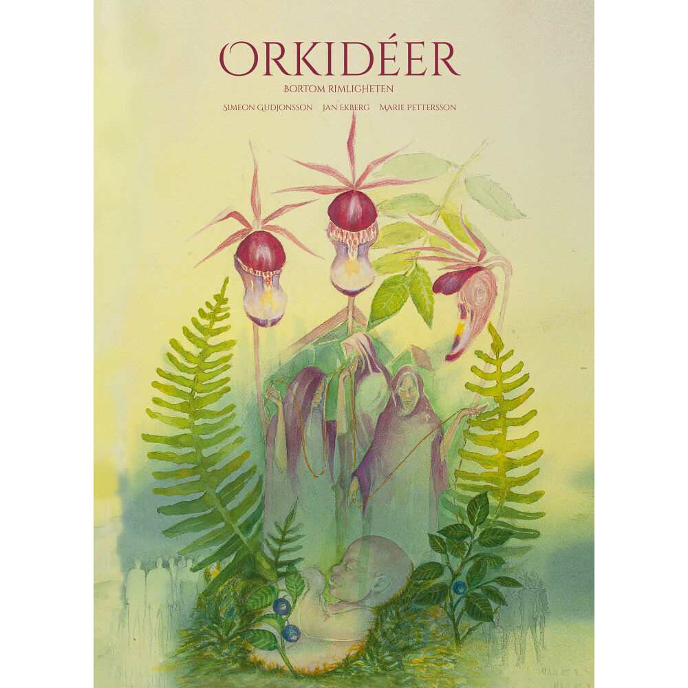Simeon Gudjonsson Orkidéer - bortom rimligheten (inbunden)