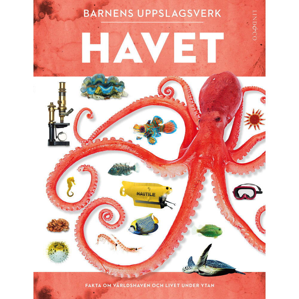 Miranda Macquitty Barnens uppslagsverk. Havet (bok, kartonnage)