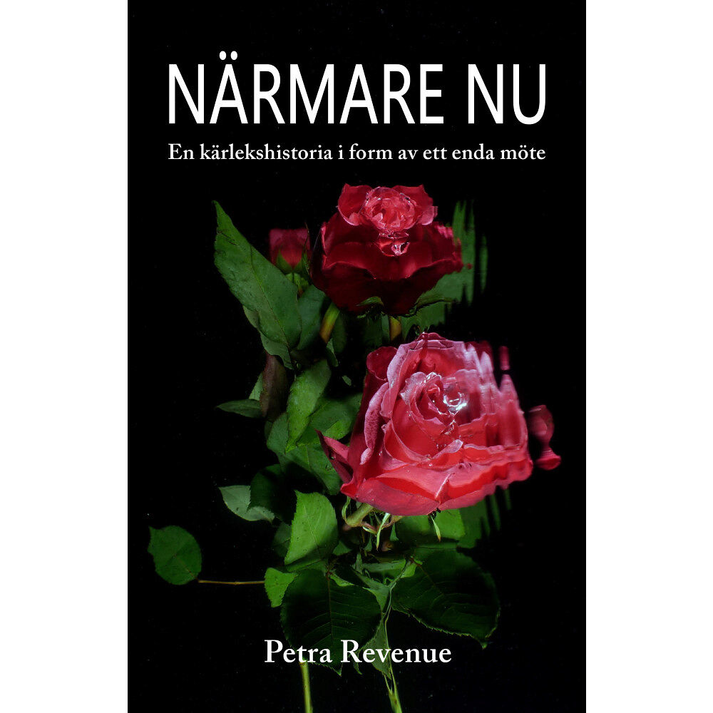 Petra Revenue Närmare nu : en kärlekshistoria i form av ett enda möte (inbunden)