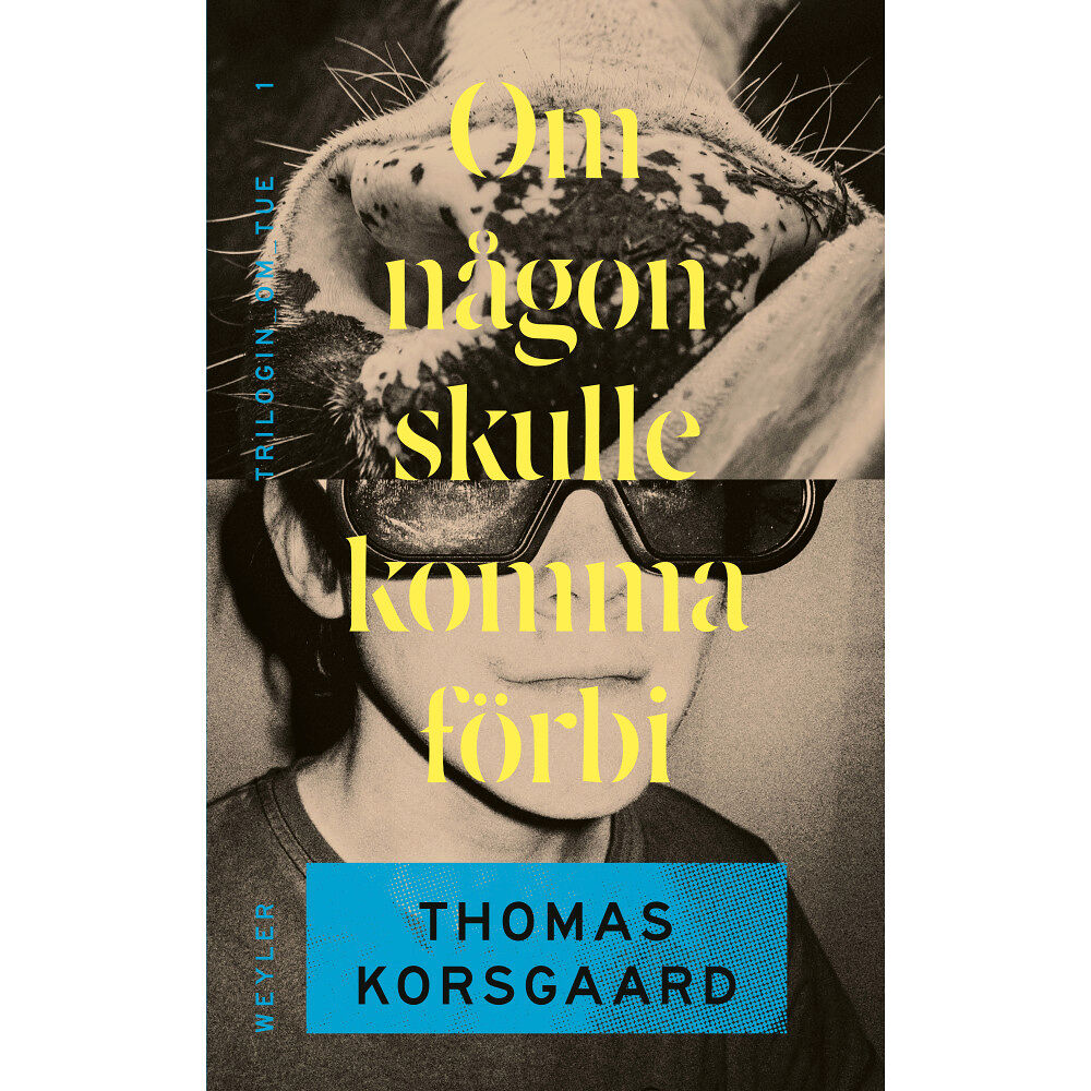 Thomas Korsgaard Om någon skulle komma förbi (pocket)