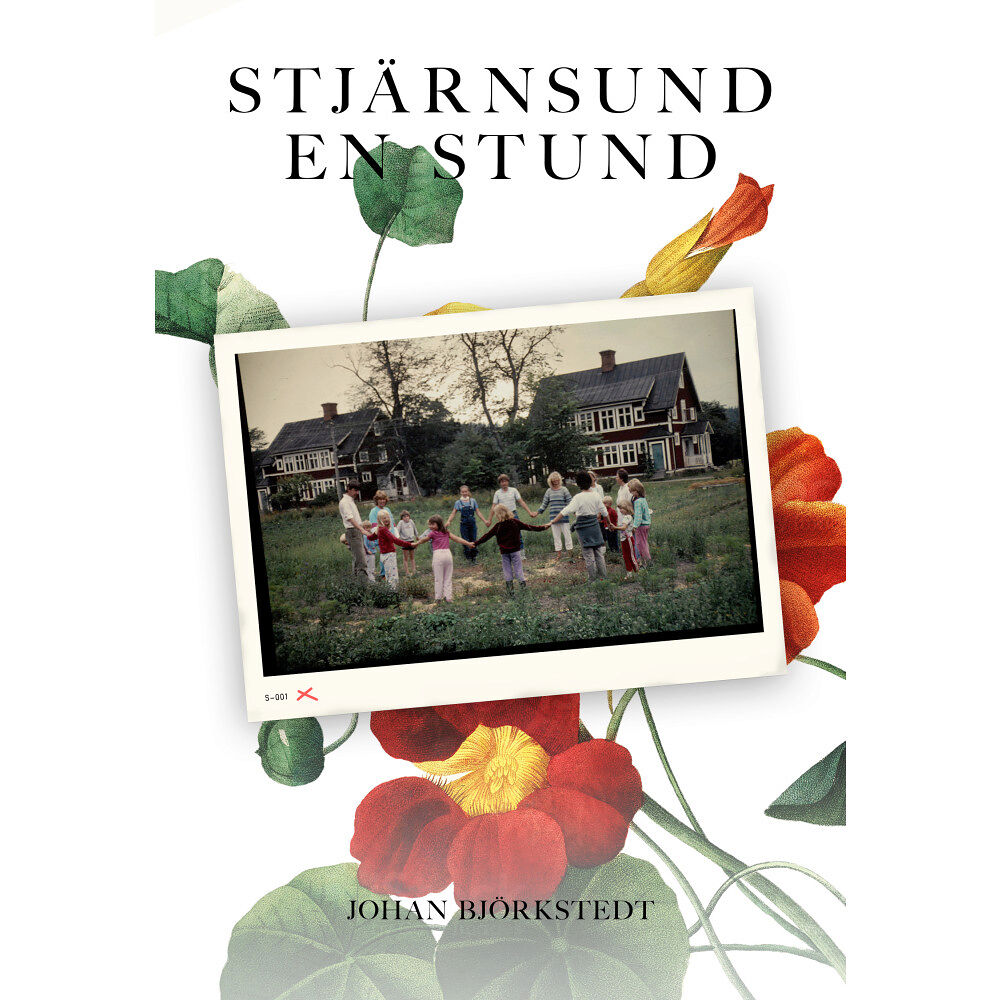 Johan Björkstedt Stjärnsund en stund (häftad)