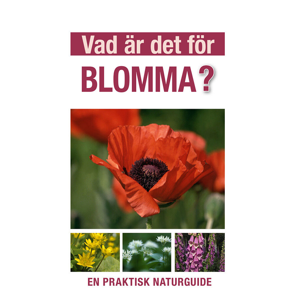 David Burnie Vad är det för blomma? : en praktisk naturguide (häftad)