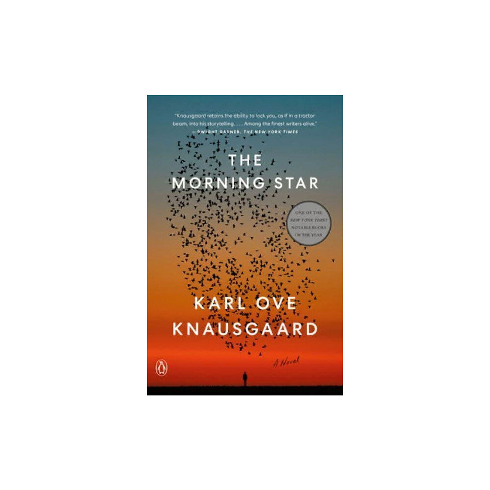 Karl Ove Knausgaard The Morning Star (häftad, eng)