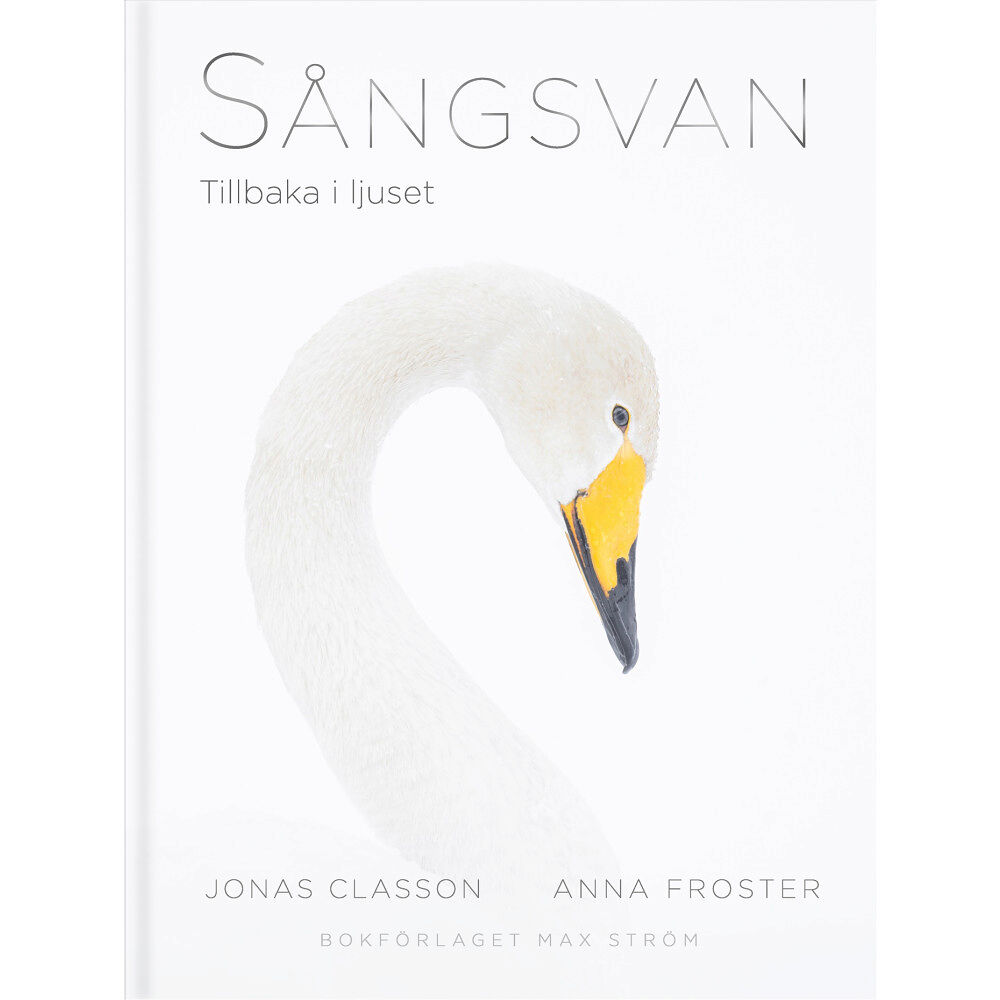 Anna Froster Sångsvan : Tillbaka i ljuset (inbunden)