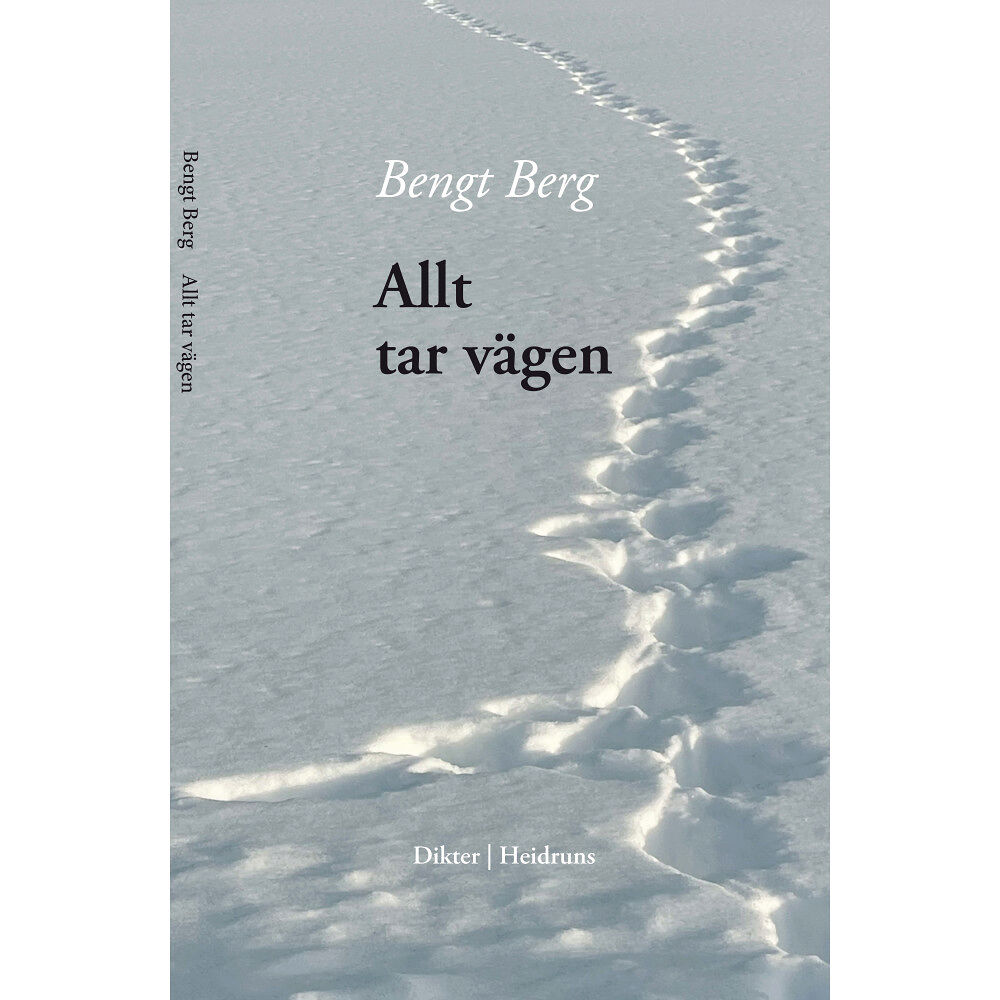 Bengt  Berg Allt tar vägen (bok, danskt band)