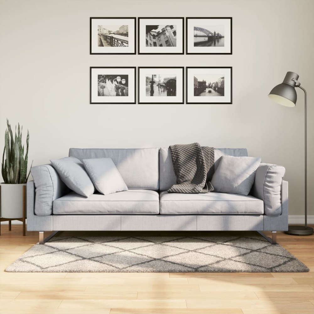vidaXL Ryamatta PAMPLONA lång lugg modern beige & antracit 80x150 cm