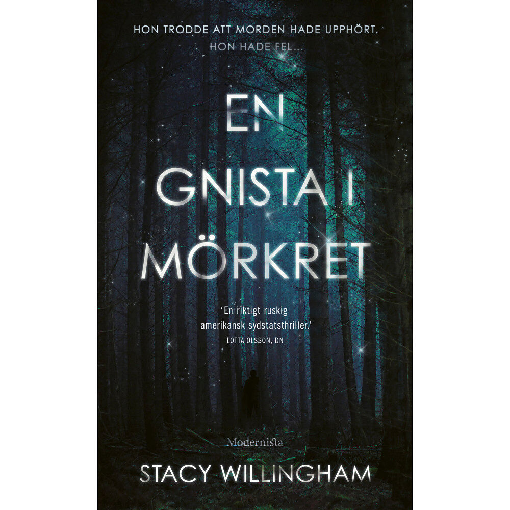 Stacy Willingham En gnista i mörkret (pocket)