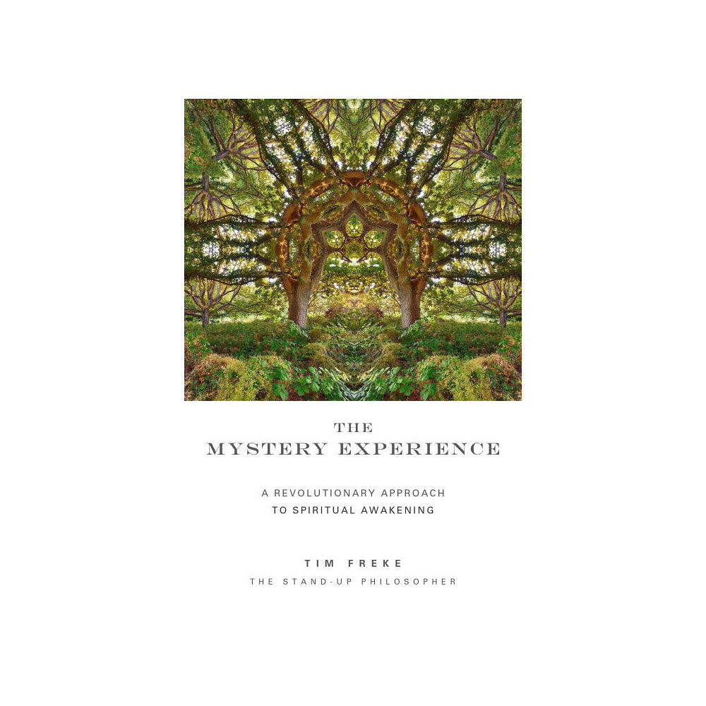 Tim Freke The Mystery Experience (häftad, eng)