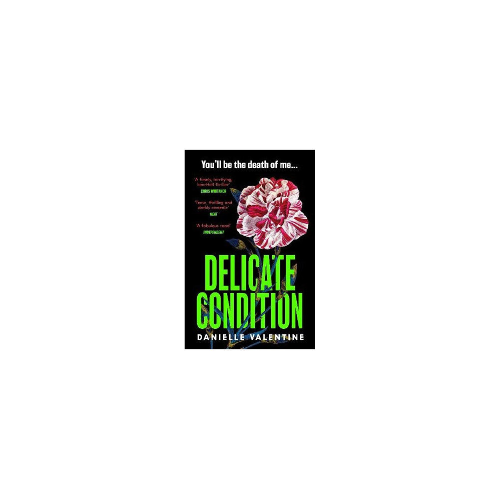 Danielle Valentine Delicate Condition (pocket, eng)