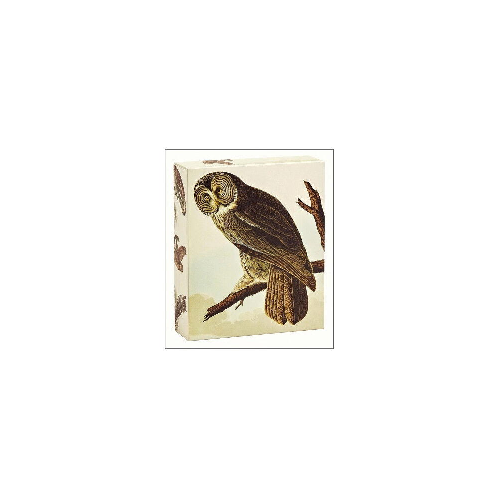 teNeues Stationery Audubon Owls Quicknotes : QuickNotes