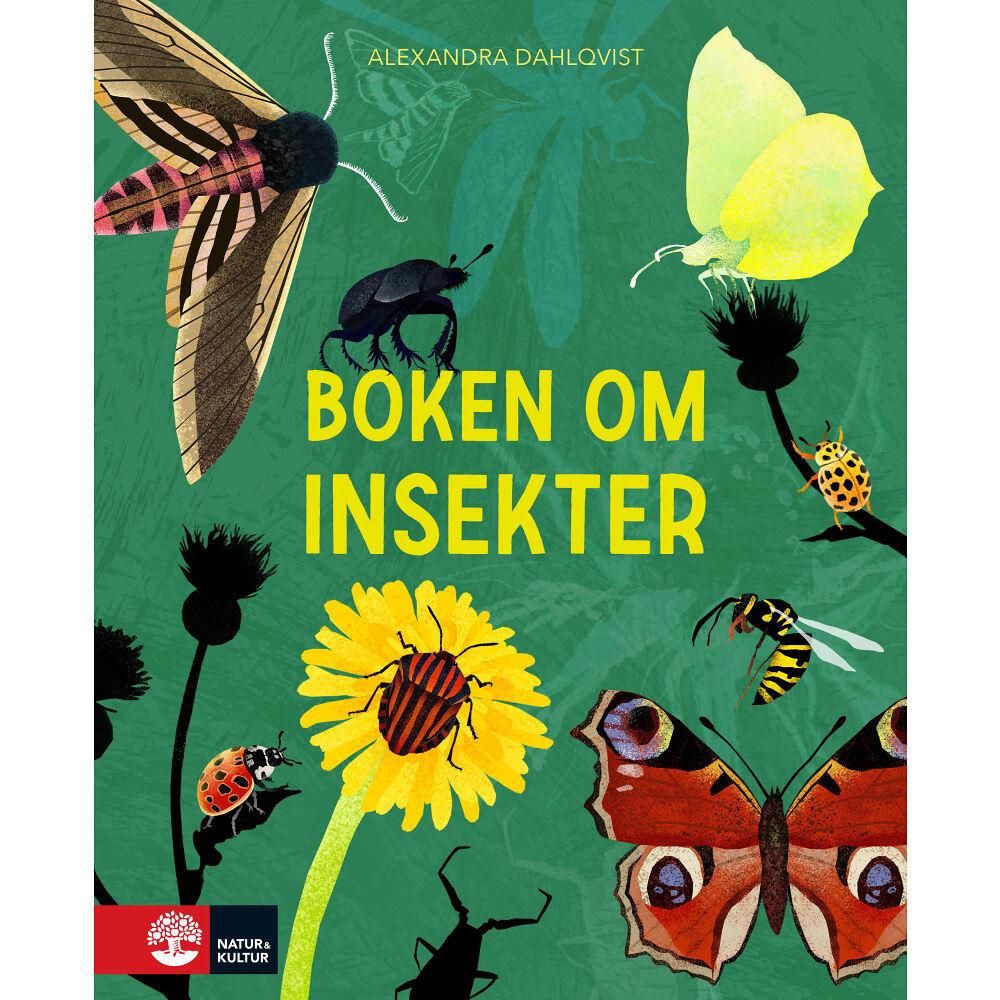 Alexandra Dahlqvist Boken om insekter (inbunden)