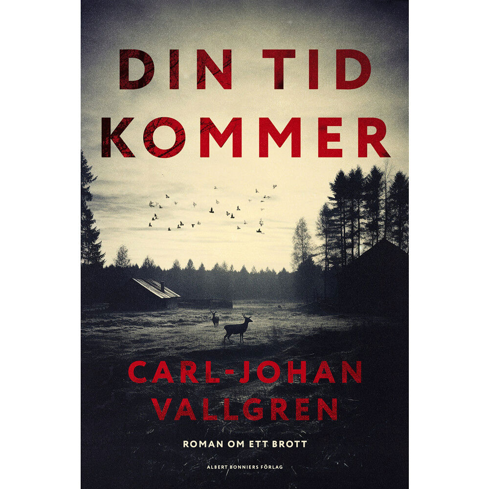 Carl-Johan Vallgren Din tid kommer (inbunden)