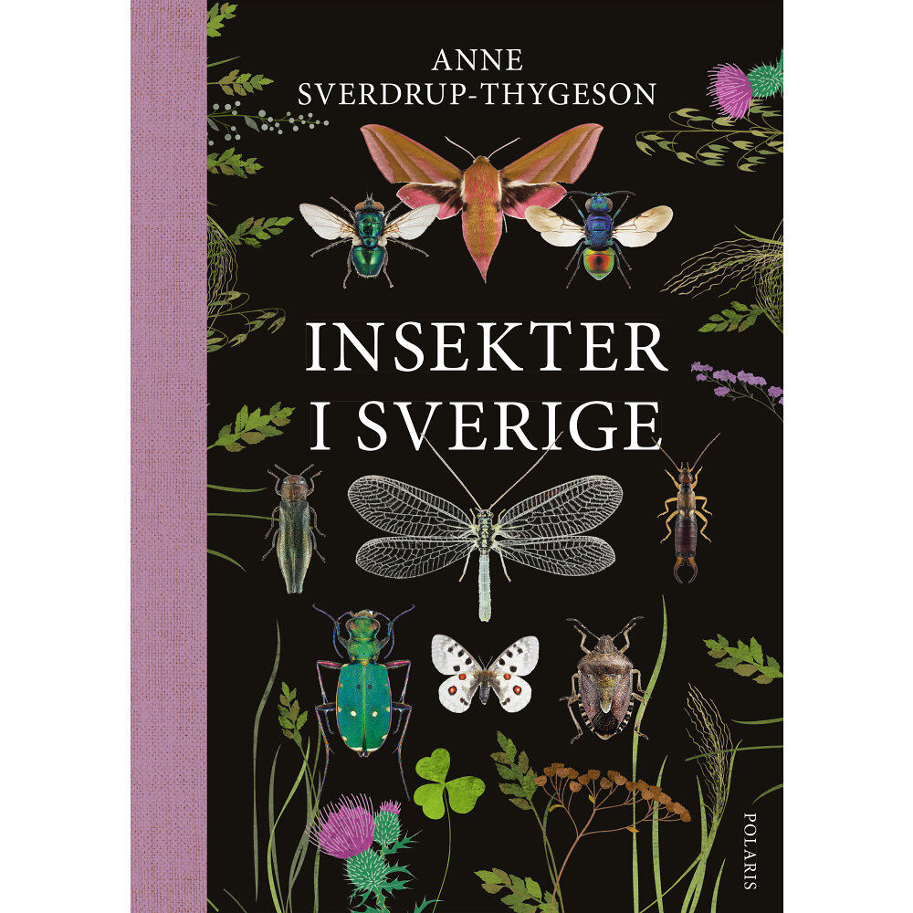 Anne Sverdrup-Thygeson Insekter i Sverige (inbunden)