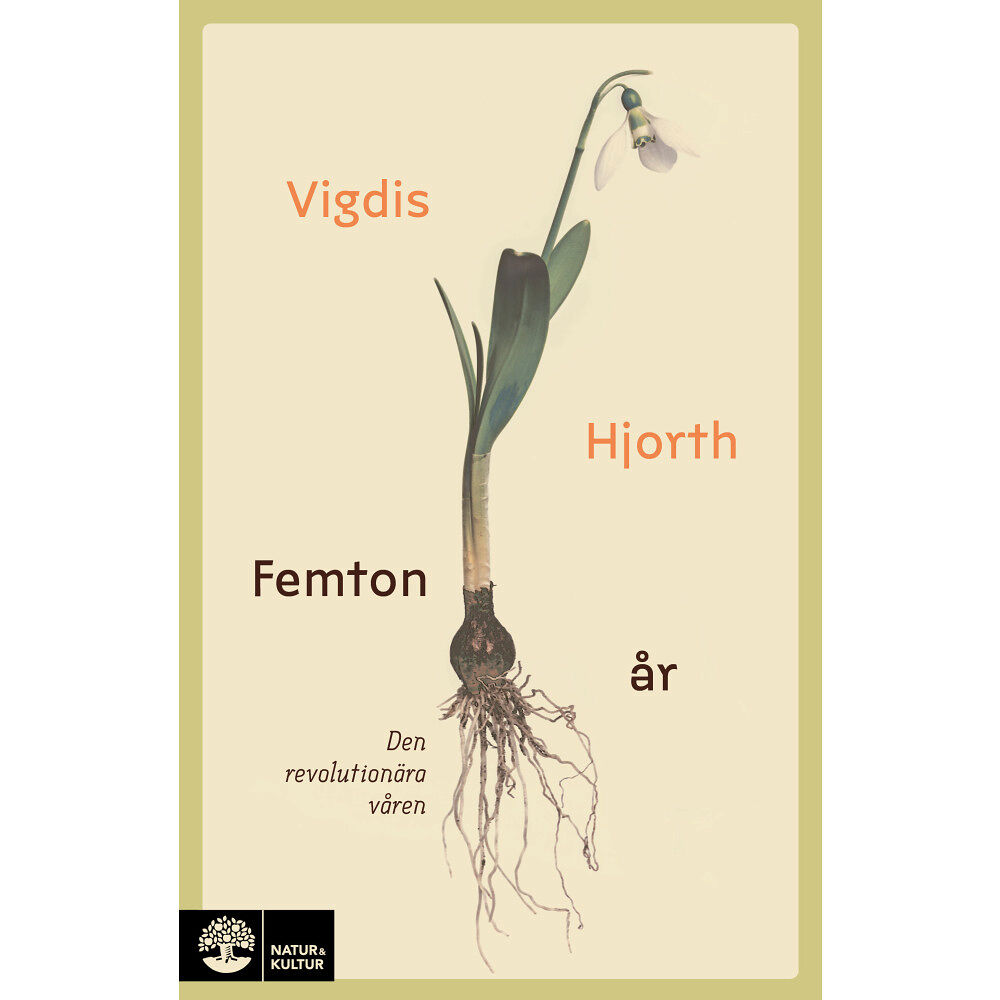 Vigdis Hjorth Femton år : den revolutionära våren (pocket)