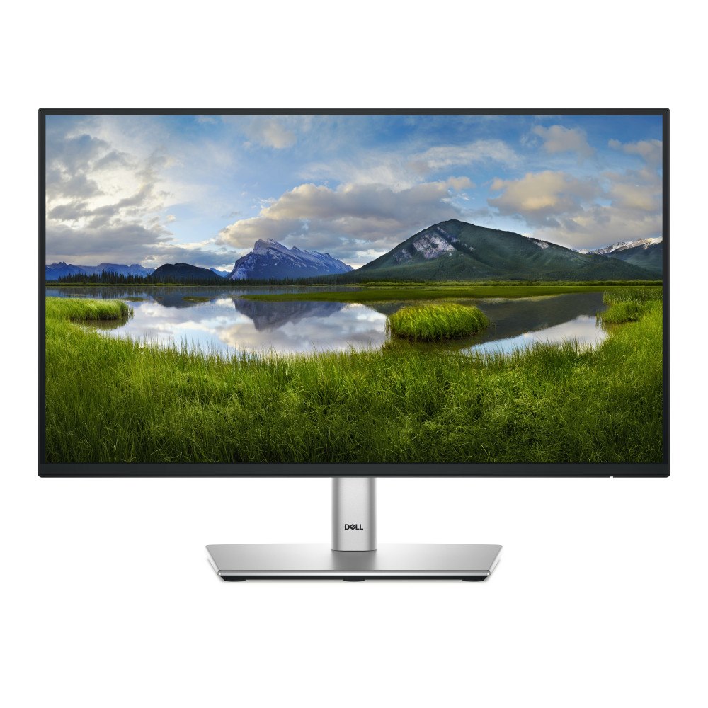DELL DELL P Series P2225H platta pc-skärmar 54,6 cm (21.5") 1920 x 1080 pixlar Full HD LCD Svart, Silver